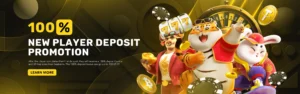 100% New Player Deposit Promotion